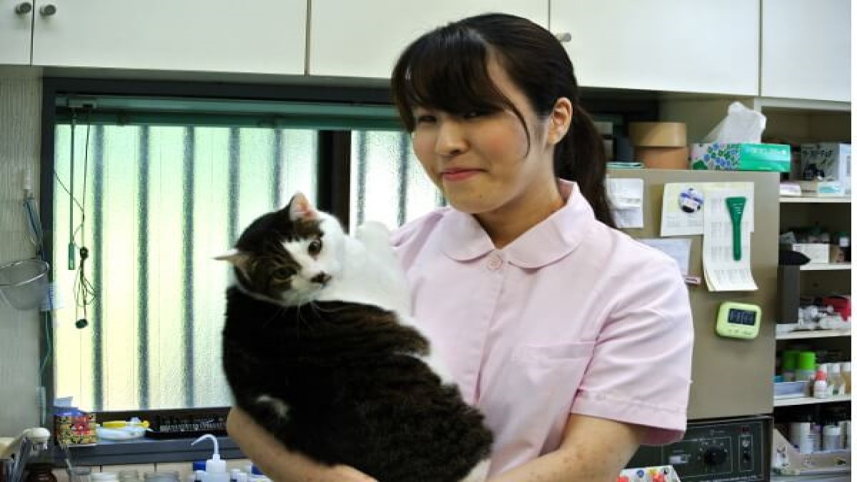 日比獣医科クリニック