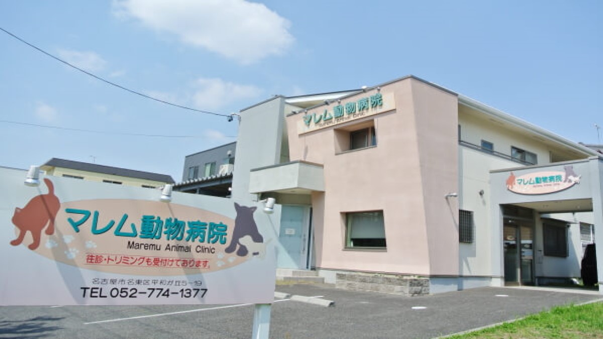 マレム動物病院