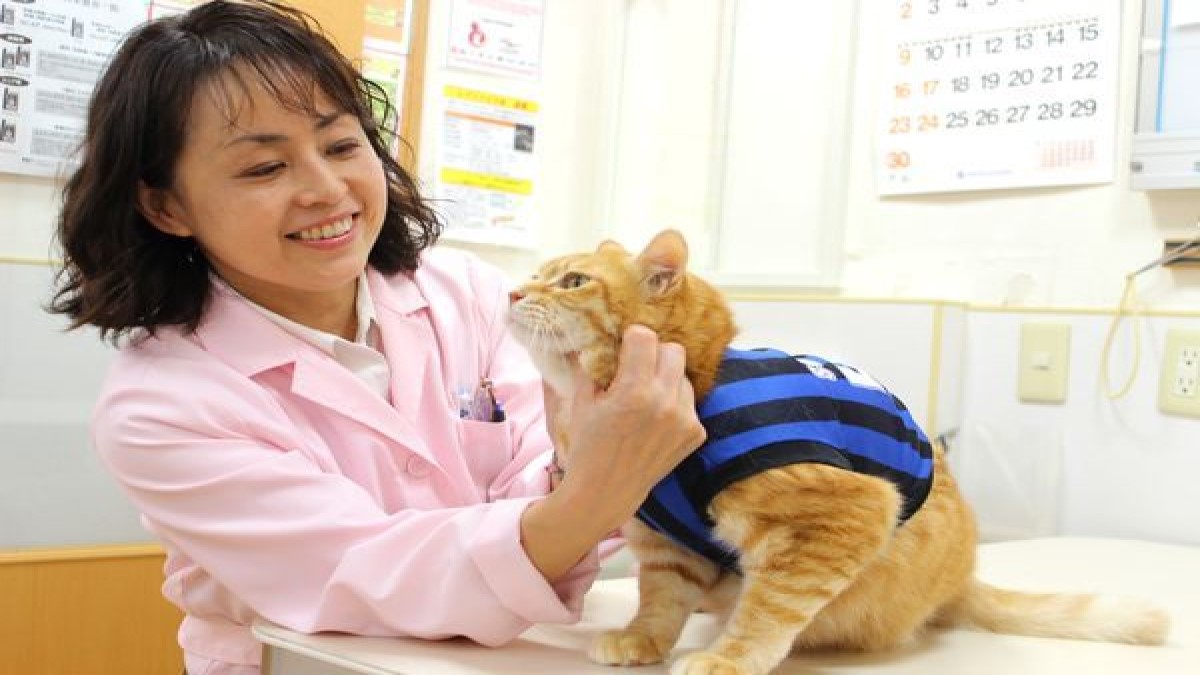 小林犬猫病院