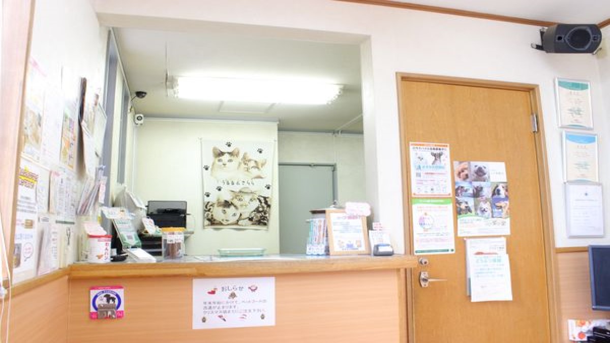 ますみ犬猫病院