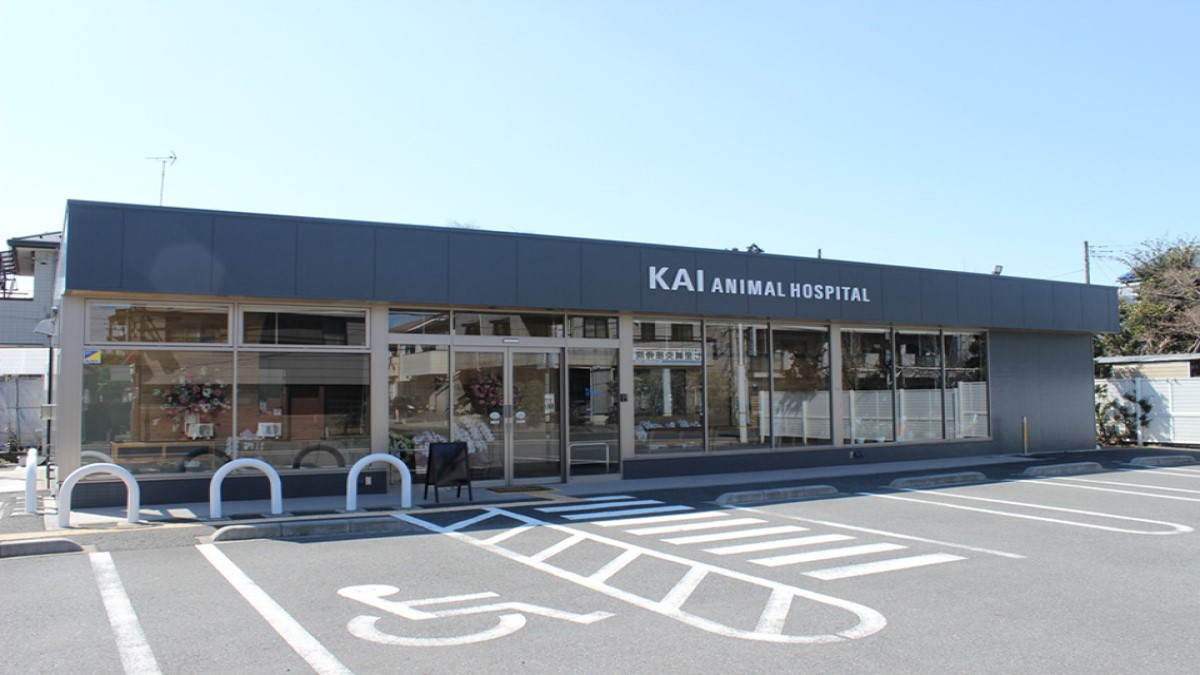 KAI動物病院