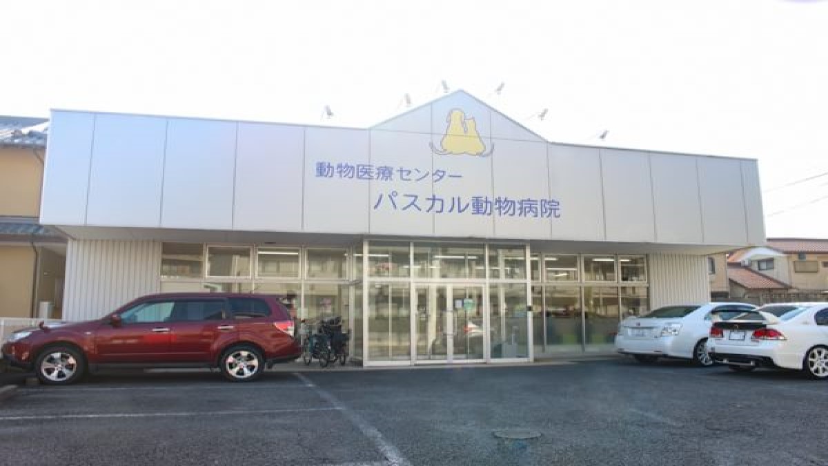 パスカル動物病院大宮
