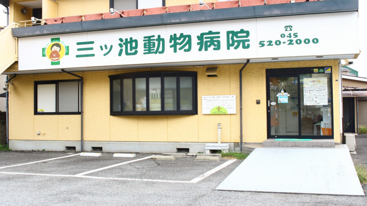三ッ池動物病院