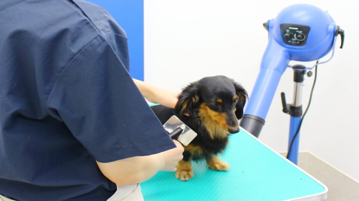 ふれあいの丘動物病院