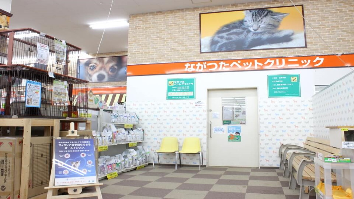 ながつたペットクリニック
