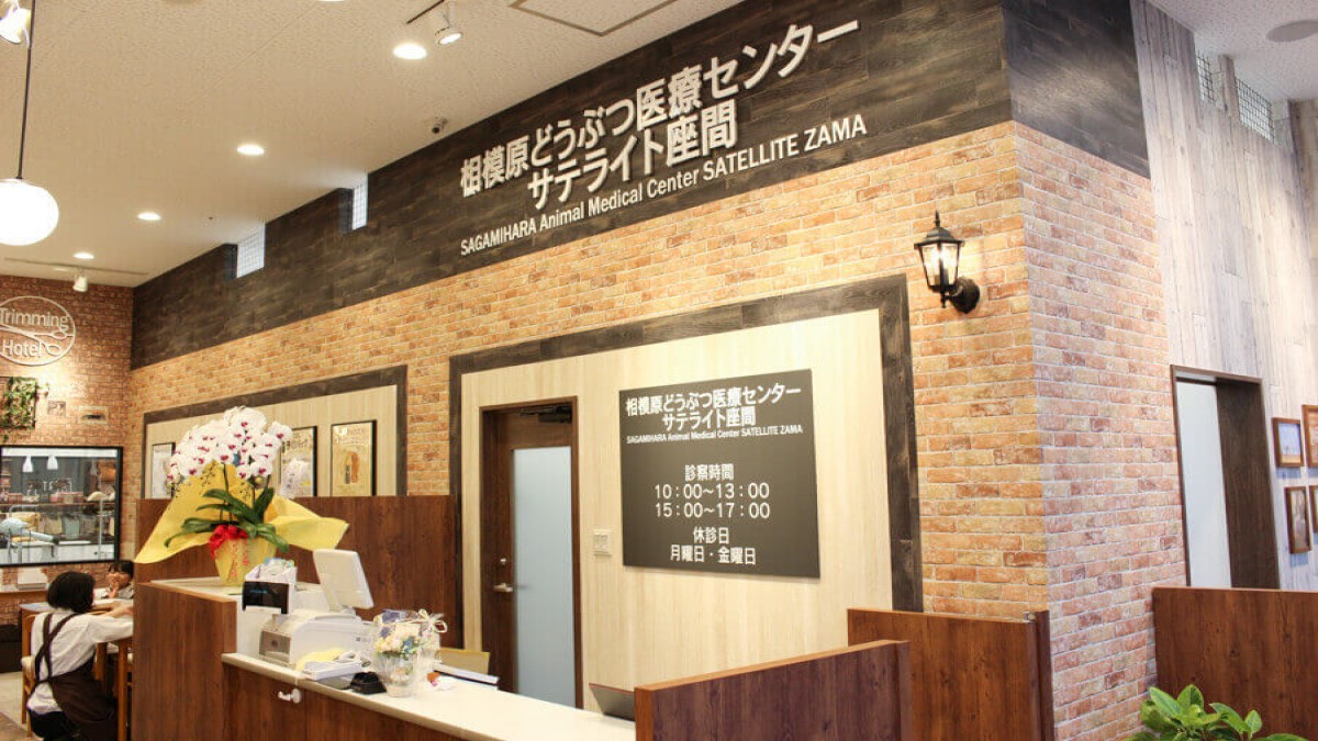 相模原どうぶつ医療センター サテライト座間