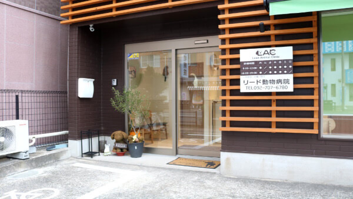 リード動物病院