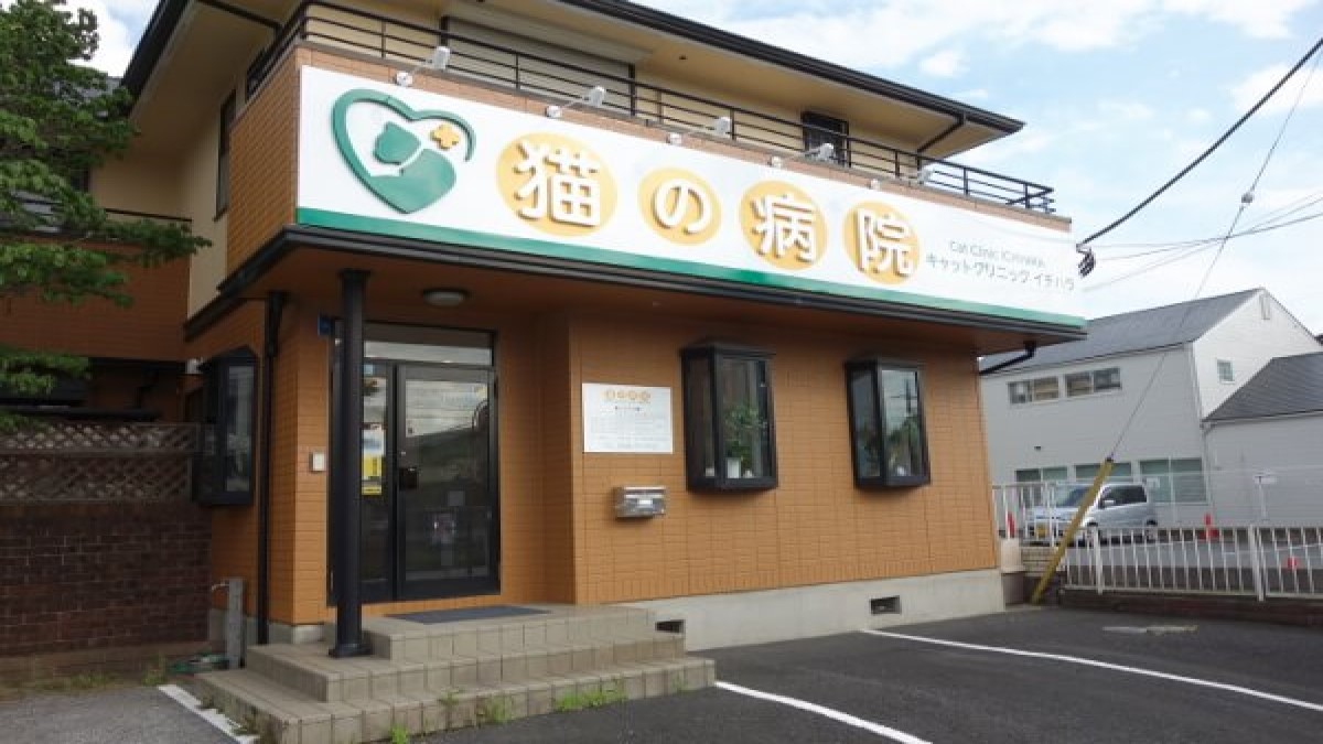キャットクリニック イチハラ