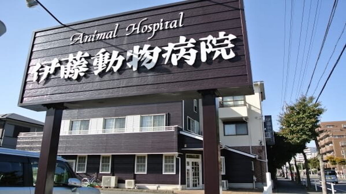 伊藤動物病院