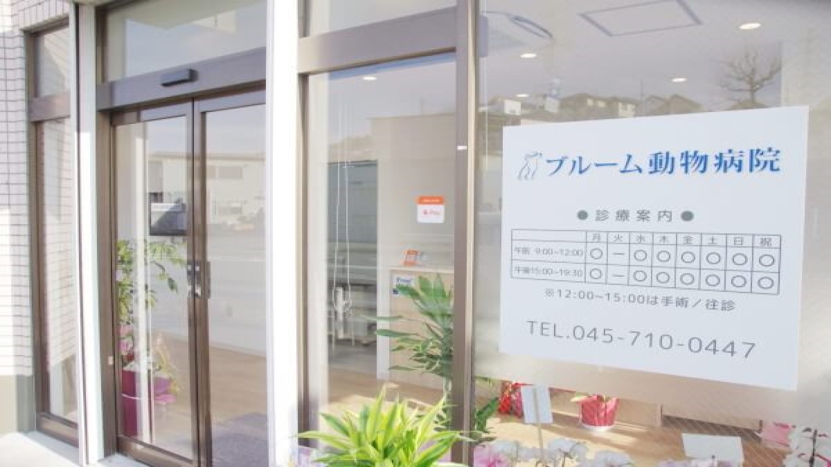 ブルーム動物病院