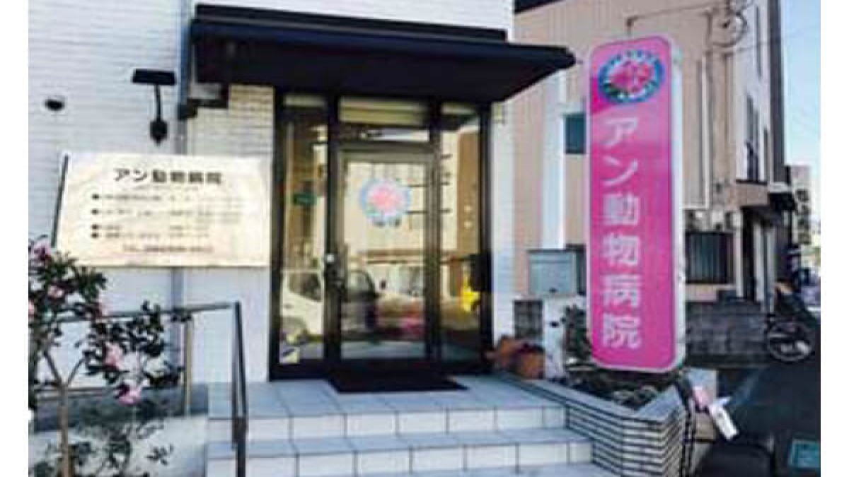 アン動物病院