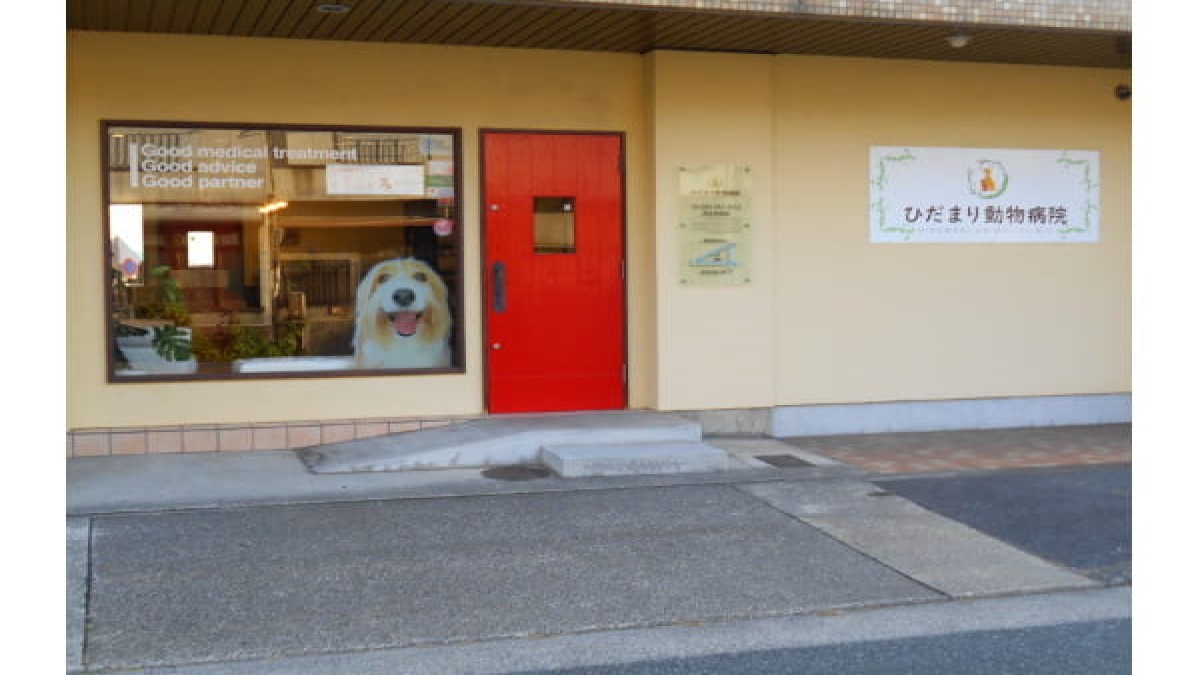 ひだまり動物病院