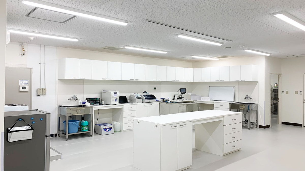 コーナン東淀川菅原どうぶつ病院
