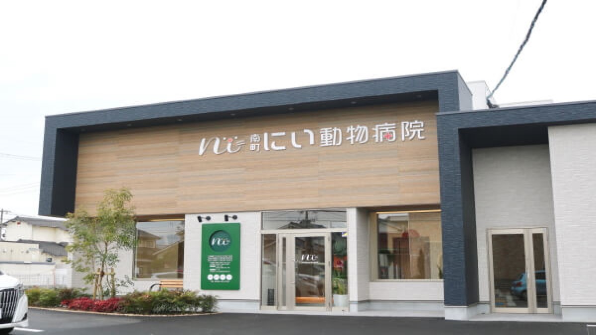 南町にい動物病院