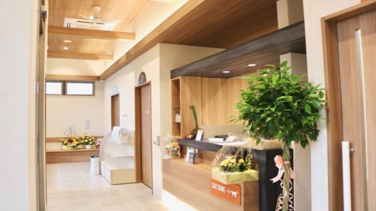 南町にい動物病院