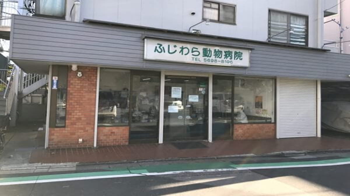 ふじわら動物病院