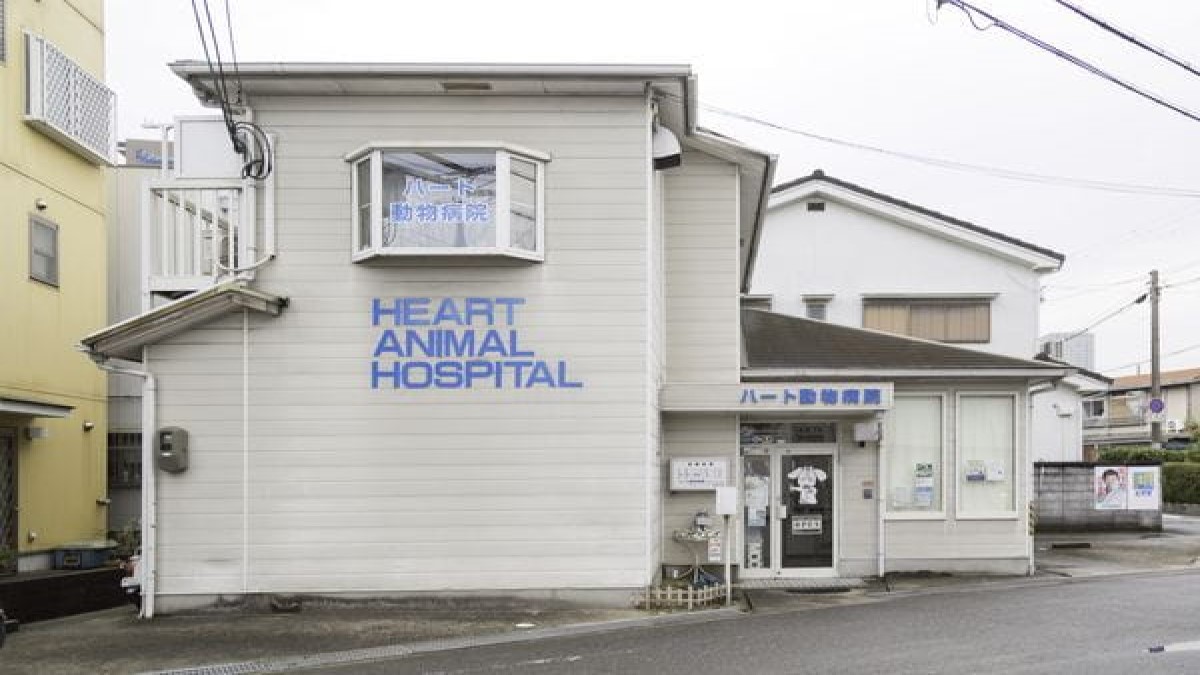 ハート動物病院