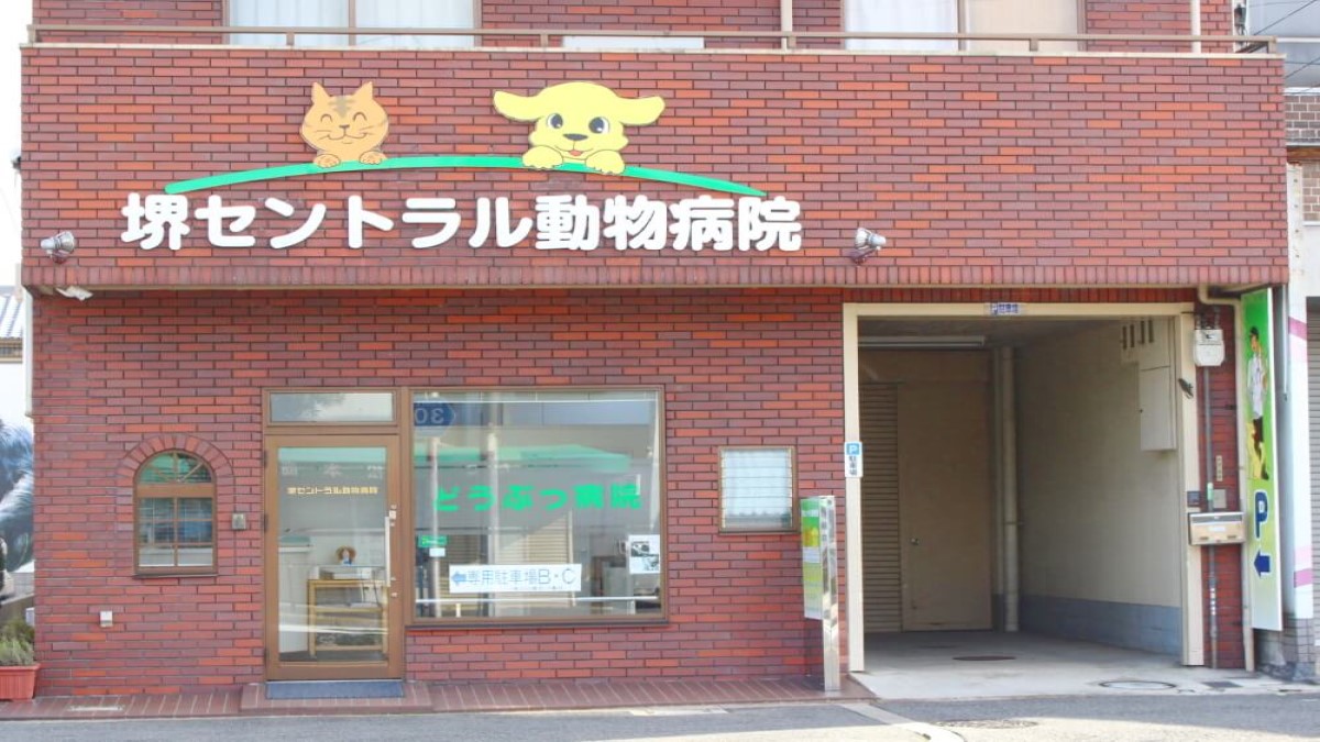 堺セントラル動物病院