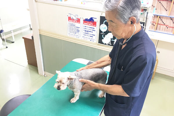 中島動物病院