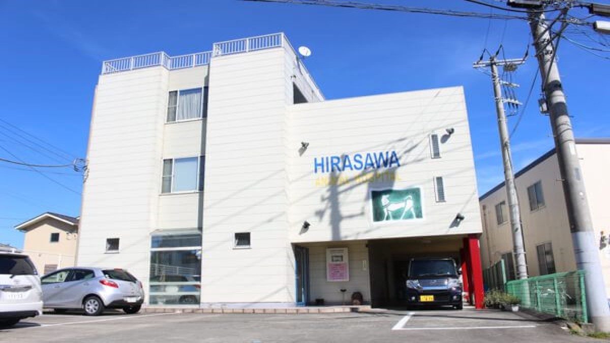 平澤動物病院