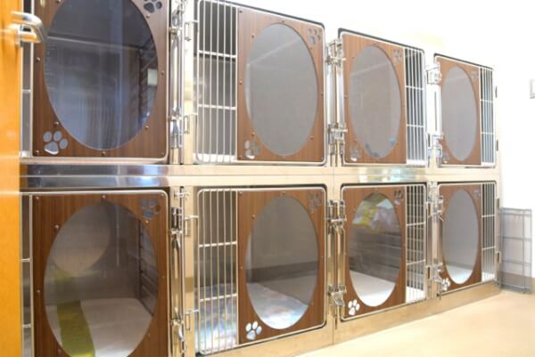昭島動物病院