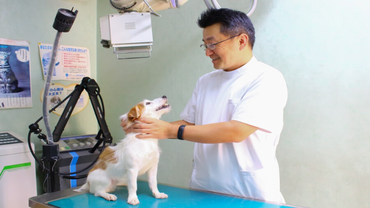 くぼ動物病院