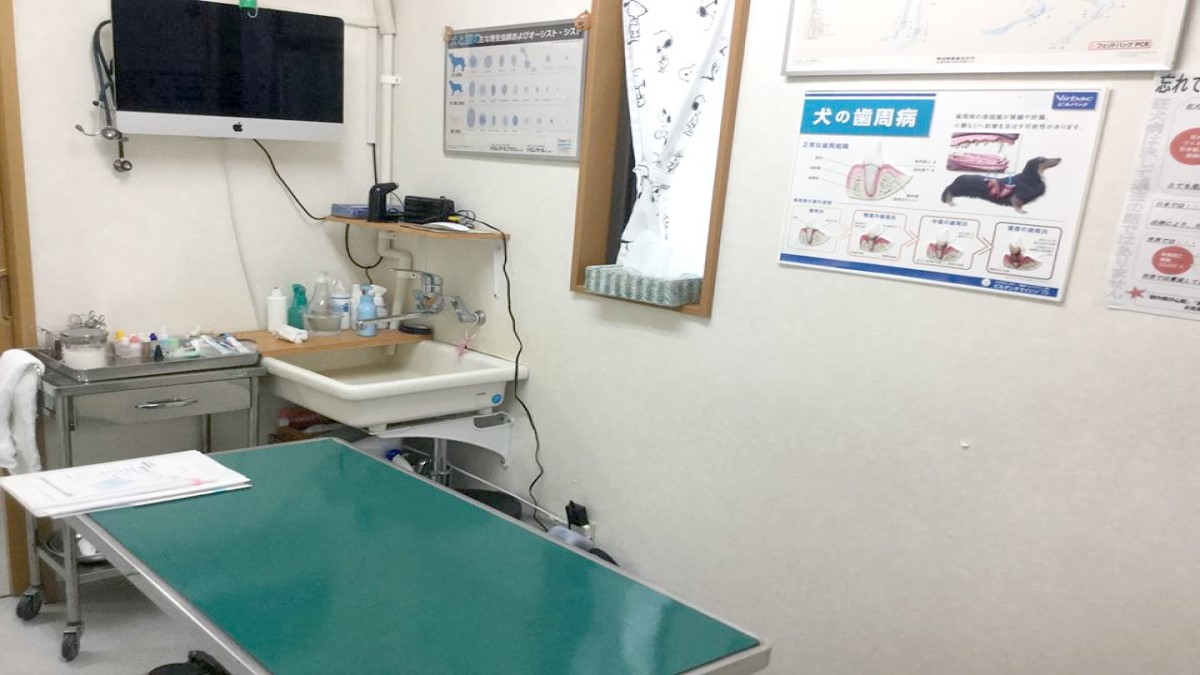 多摩獣医科病院