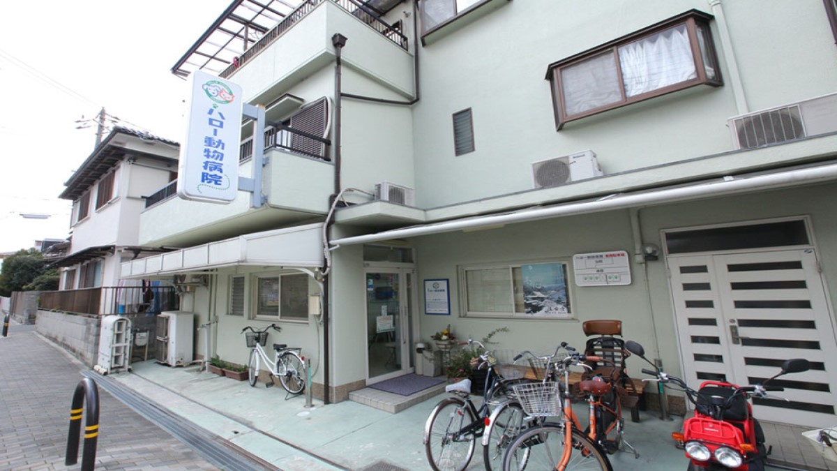 ハロー動物病院