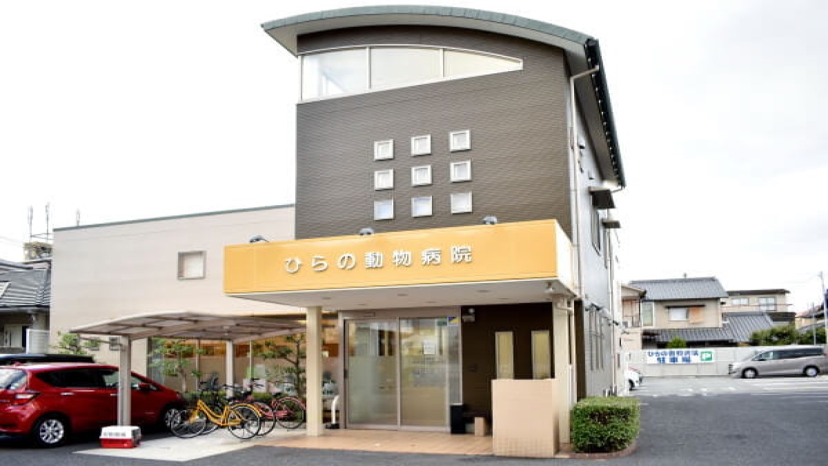ひらの動物病院