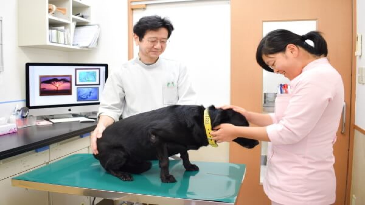 ひらの動物病院