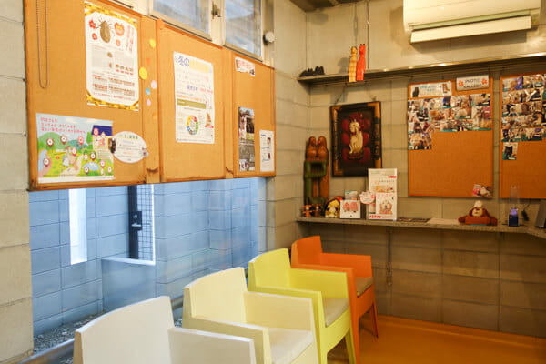 やませどうぶつ病院