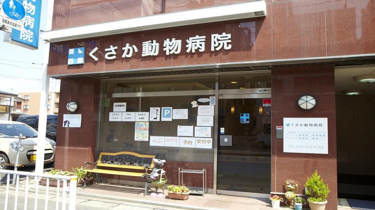くさか動物病院