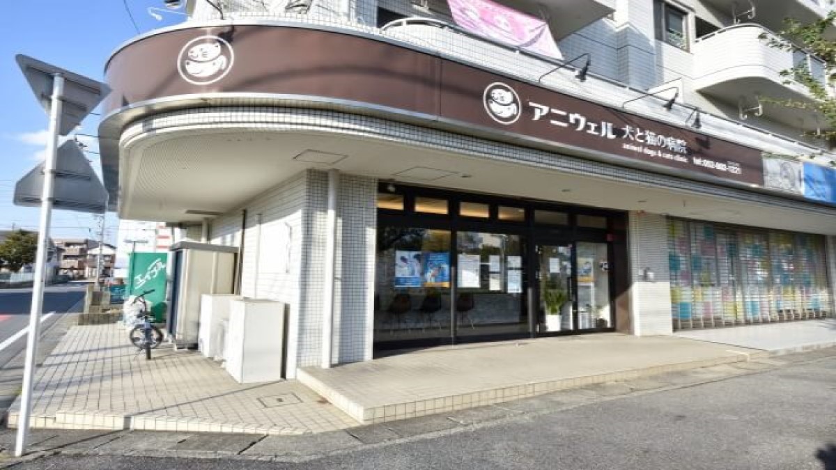 アニウェル犬と猫の病院