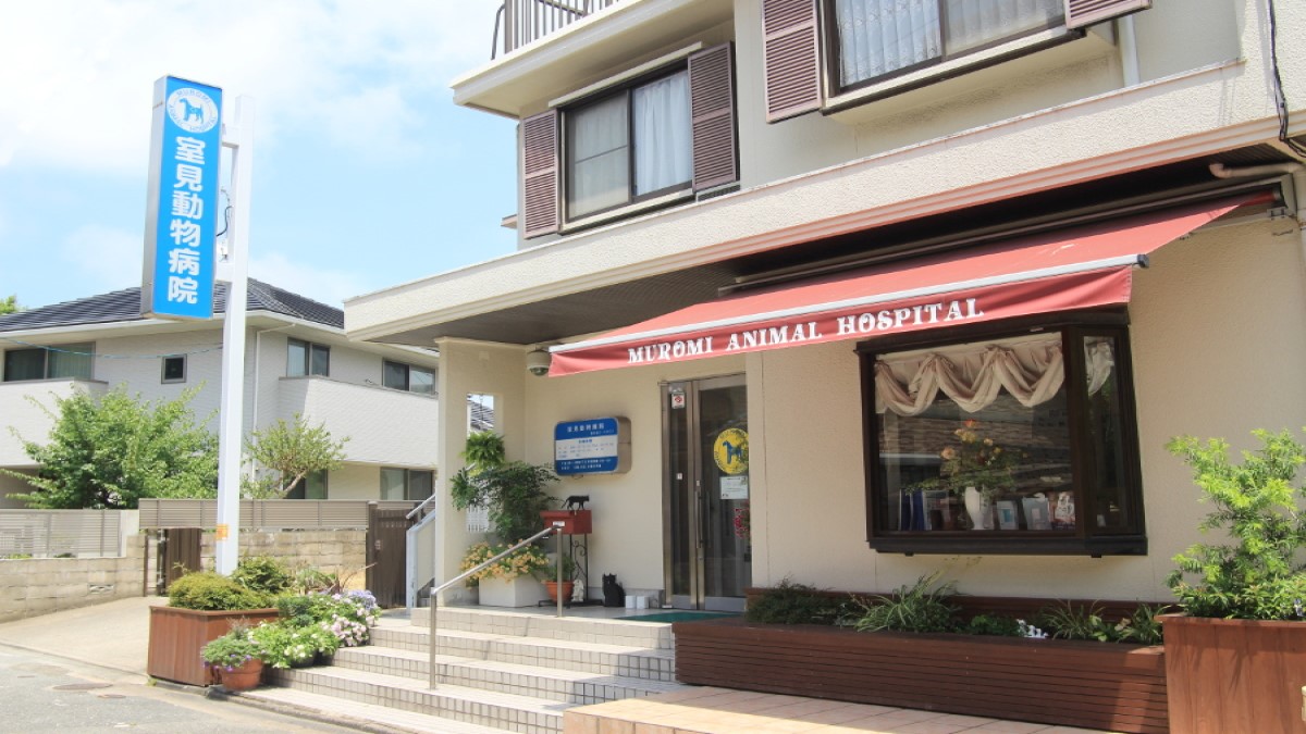 室見動物病院