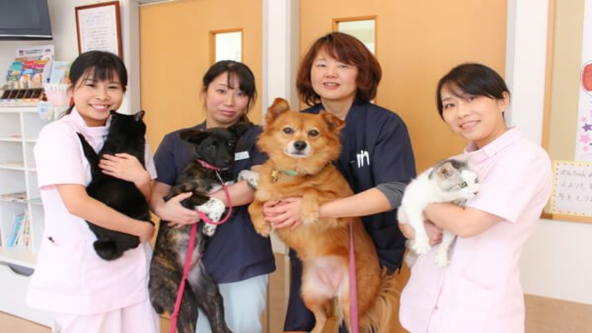 みずえ動物病院