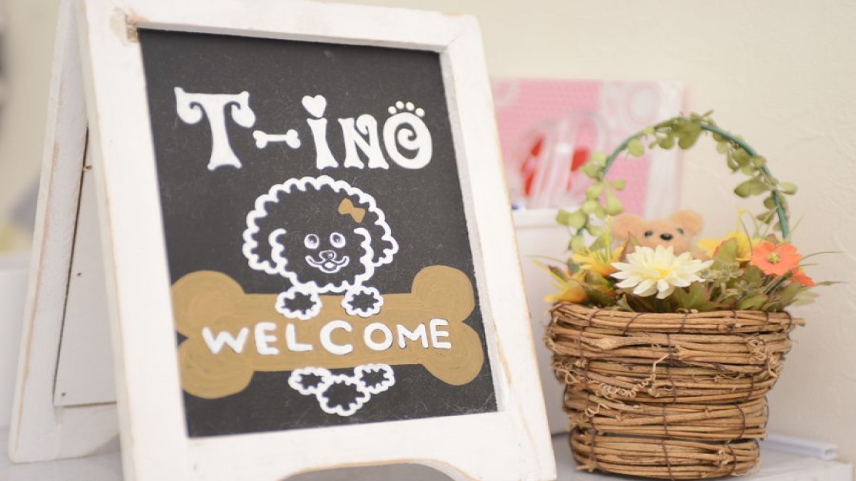 T-ino(ティーノ)
