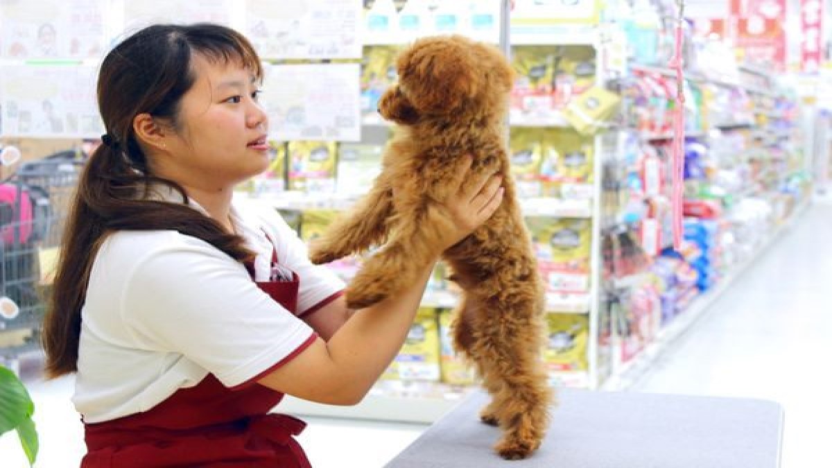 Pet ami 四街道店