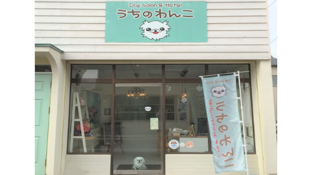 うちのわんこ