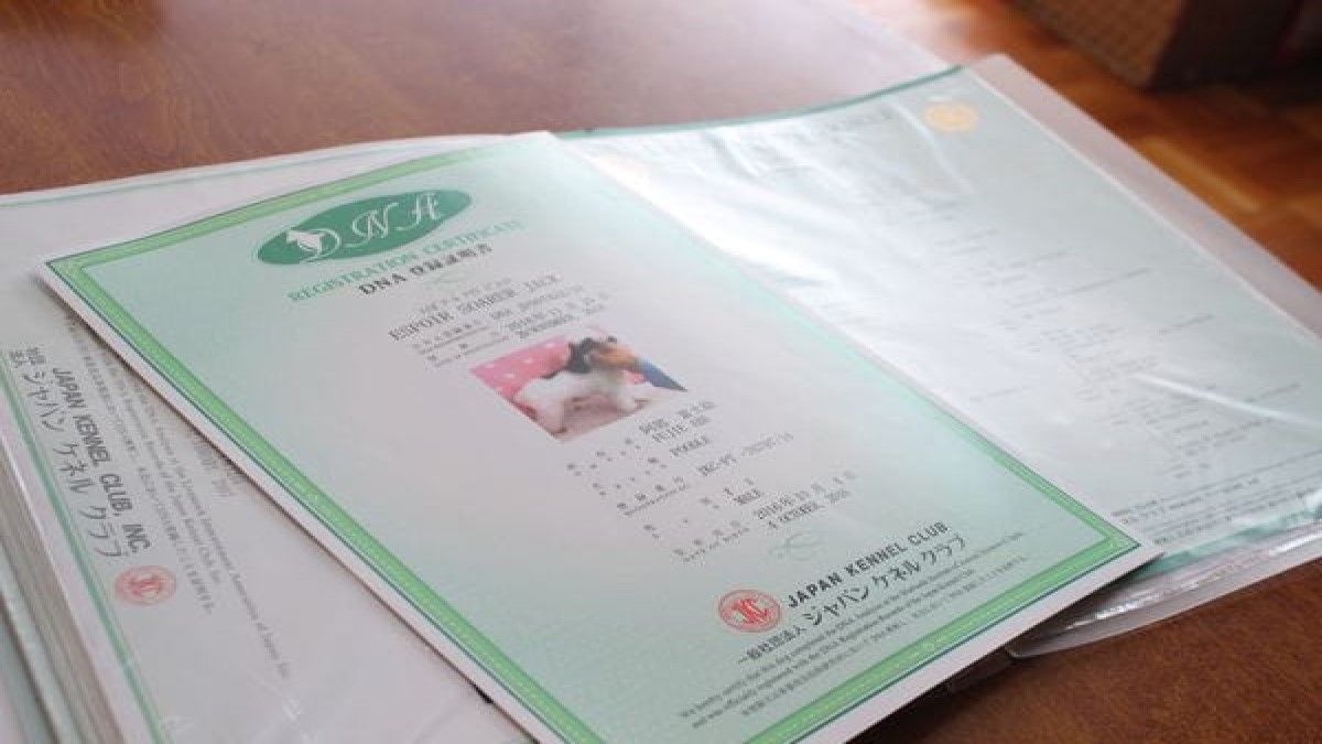 犬猫倶楽部 ウィズ 上尾店