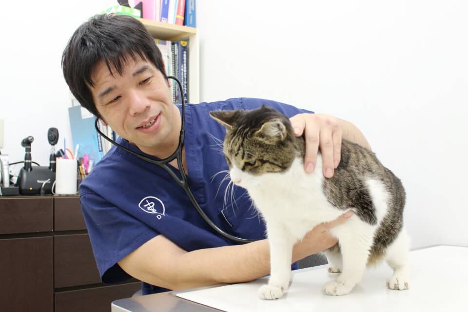 たかはし動物病院