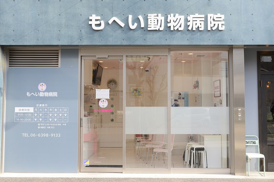 画像説明