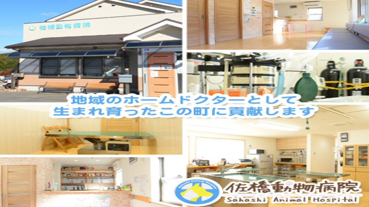 佐橋動物病院