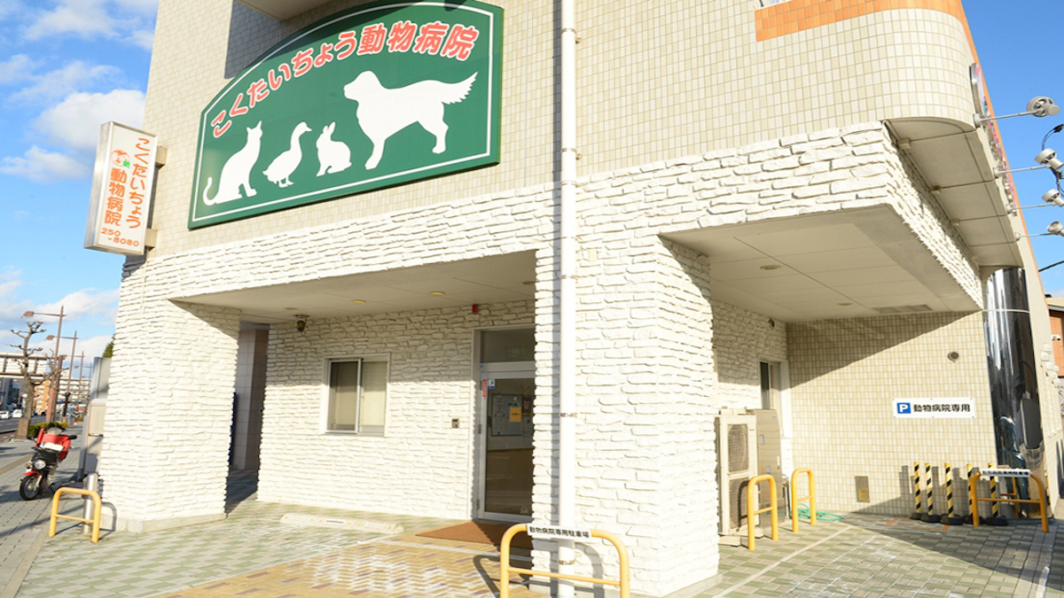 こくたいちょう動物病院