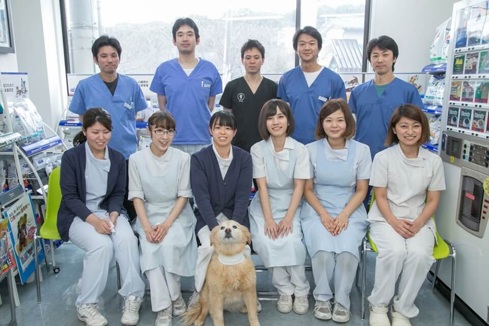 画像説明