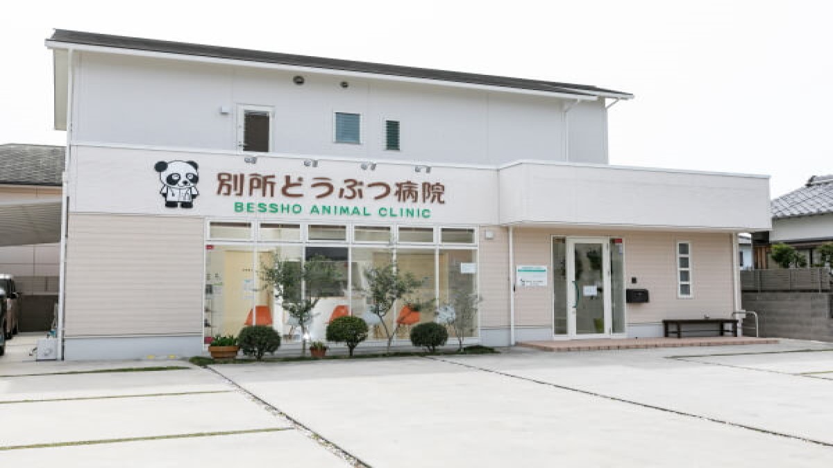 別所どうぶつ病院