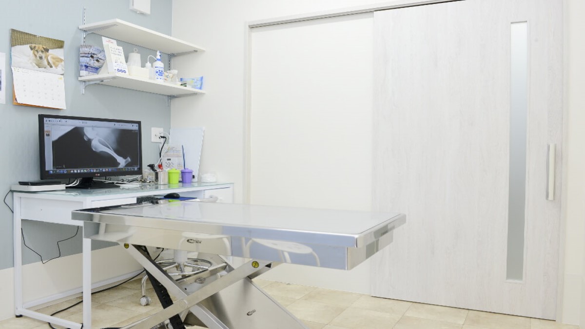 右京動物病院 HEALTH CARE CENTER