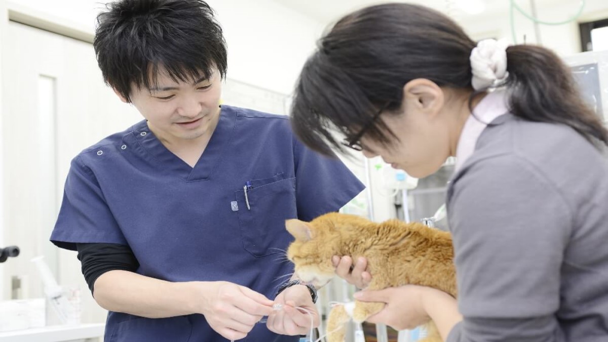 右京動物病院 HEALTH CARE CENTER