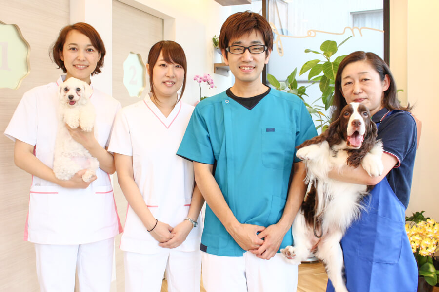 もふもふ動物病院