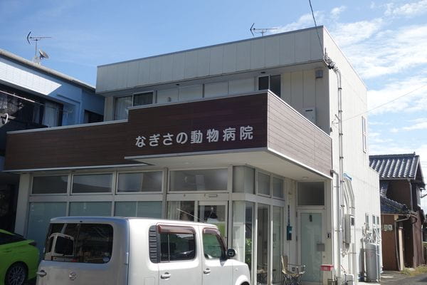 なぎさの動物病院