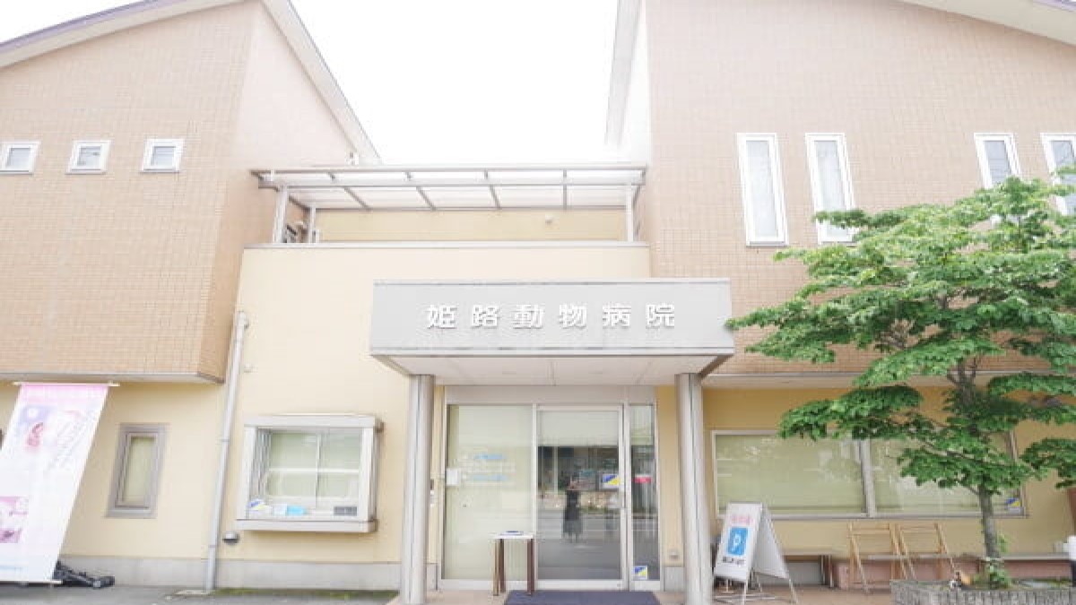 姫路動物病院